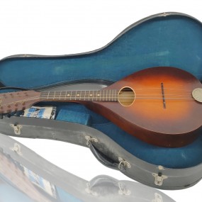 Hamilton mandolin, music instrument 