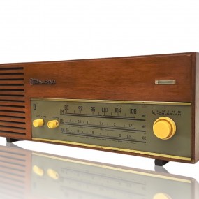 Radio Stertone 100