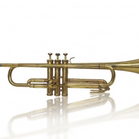 Trumpet music instrument 