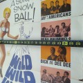 Movie Theater promotional vintage poster, Wild wild winter  - 3