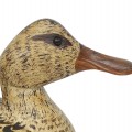 Wooden duck hunting decoy signed Leo Chagnon from Sorel, Qc. - 2