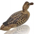 Wooden duck hunting decoy signed Leo Chagnon from Sorel, Qc. - 3