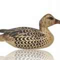 Wooden duck hunting decoy signed Leo Chagnon from Sorel, Qc. - 1