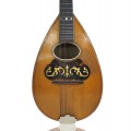 Mandolin music instrument  - 2