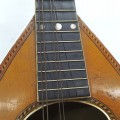 Mandolin music instrument  - 4