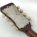 Mandolin music instrument  - 6