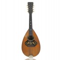 Mandolin music instrument  - 1