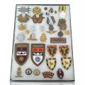 Lot of vintage military badges, militaria  - 1