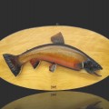 Trout fish taxidermy - 1