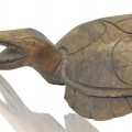 Tortue sculpté en bois de pin, sculpture art populaire  - 4