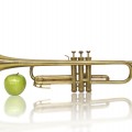 Trumpet music instrument  - 2